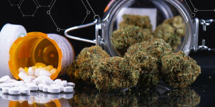 Medical Cannabis Reduces Opioid Use for Cancer Pain in Large Israeli Study
