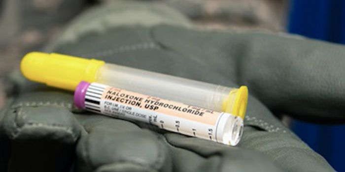 Gene Variant Linked to Opioid Dependence