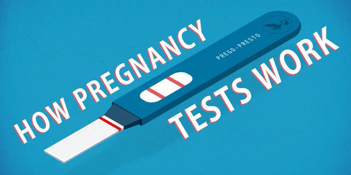 How Do Home Pregnancy Tests Work?