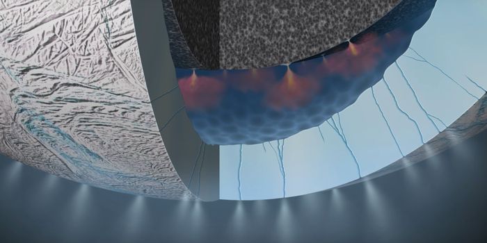 Sampling of Water Jets on Enceladus May Confirm Habitability
