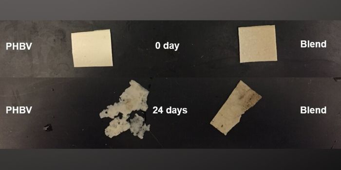 This Bioplastic and Rubber Blend is Biodegradable, Flexible, and Tough