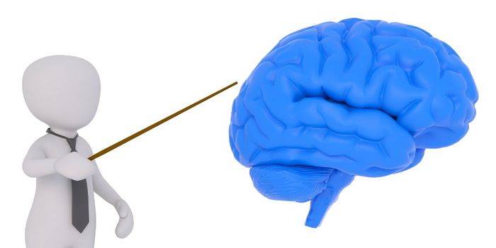 Researchers Identify New Type of PTSD