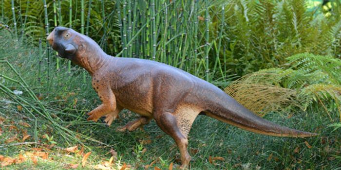 Did Dinosaurs Use Camouflage to Survive?