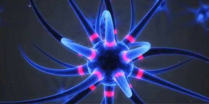 Brain Stimulation for Memory and Learning