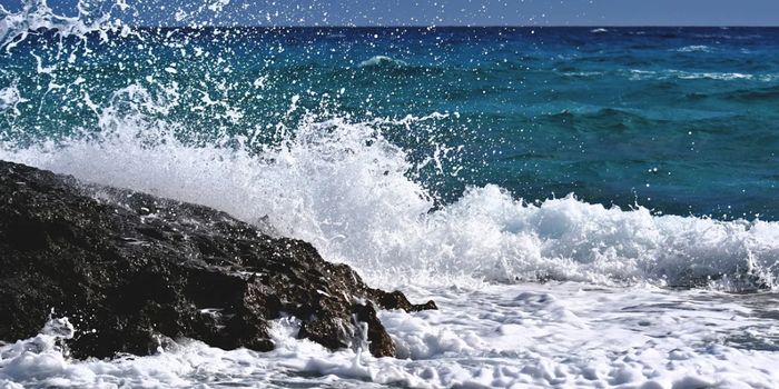 Small Oxygen Level Changes Triggered a Huge Evolutionary Jump