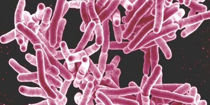 Chinese Herbal Treatment for Malaria can Disrupt TB