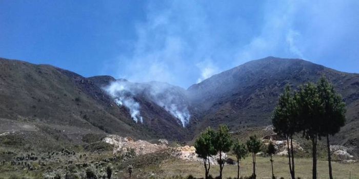 The burning of the truffula trees: Frailejones