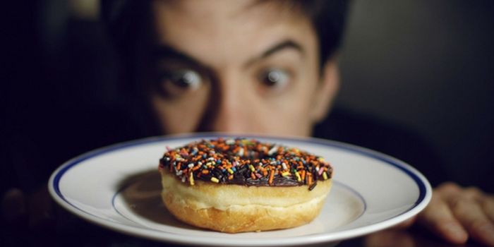 Appetite, Nicotine and the Brain