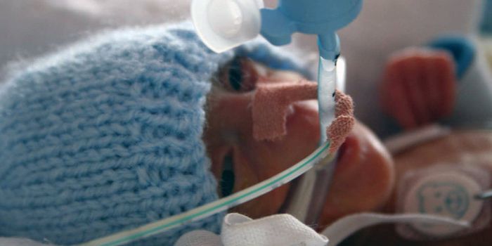 Disruptions in the Infant Gut Microbiome Linked to Growth Delays