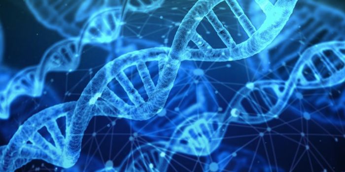 Revealing the Battle Between Organisms & Selfish Genetic Elements