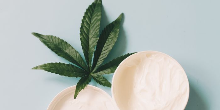 Topical CBD Reverses UV-Induced Changes in Skin