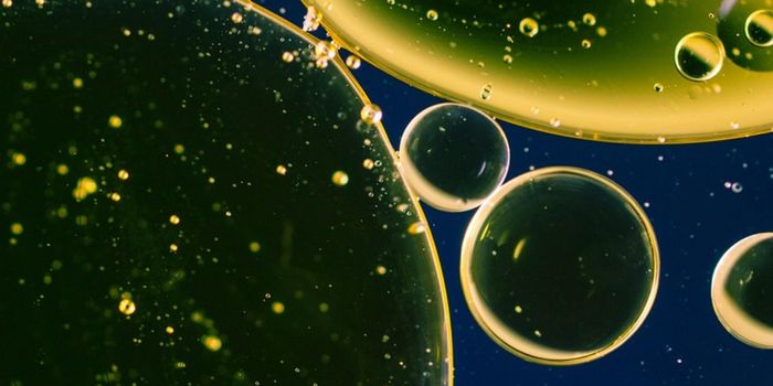 Revealing How Fat Droplets are Vital to Neuronal Function
