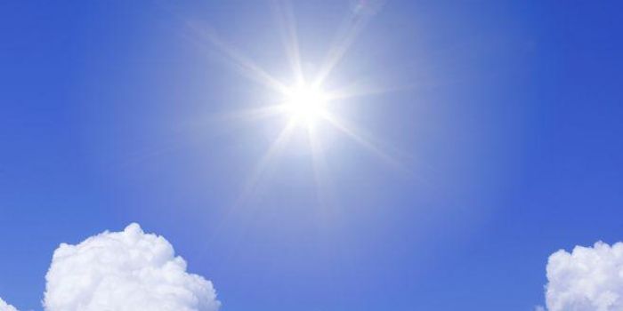 Boost Your Immune System with An Extra Dose of Sunlight