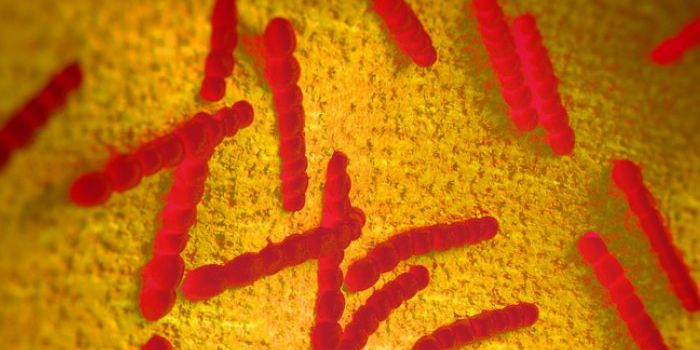 Genetic Hotspot Helps Bacteria Evade Detection