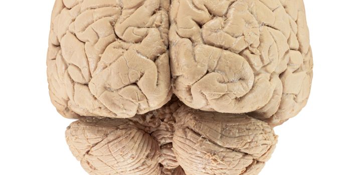 Seeds of Alzheimer's