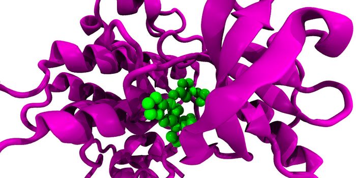 Learning More About Protein Interactions Through Bacteria