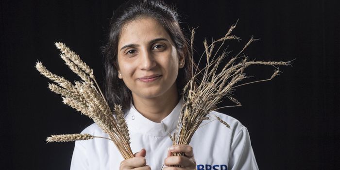A Rapid New Method to Help Modern Crops Resist Disease
