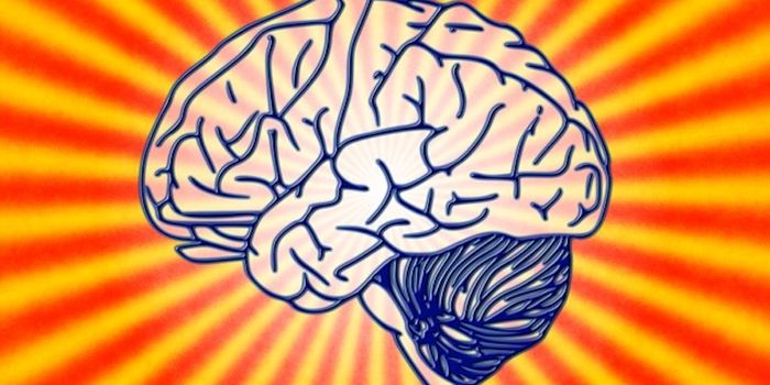 This is Your Brain on Weed