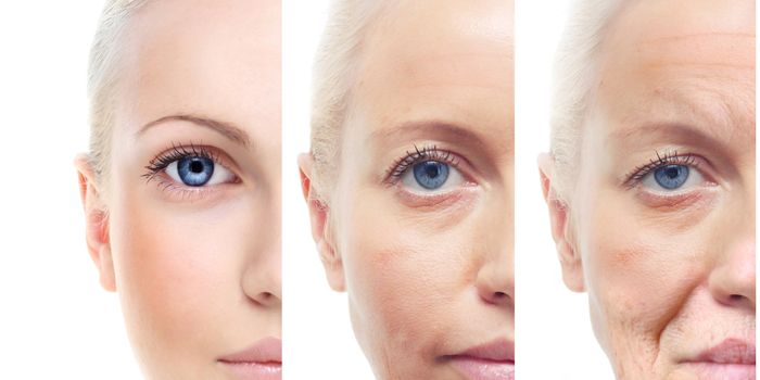 Why Organ Function Changes As We Age