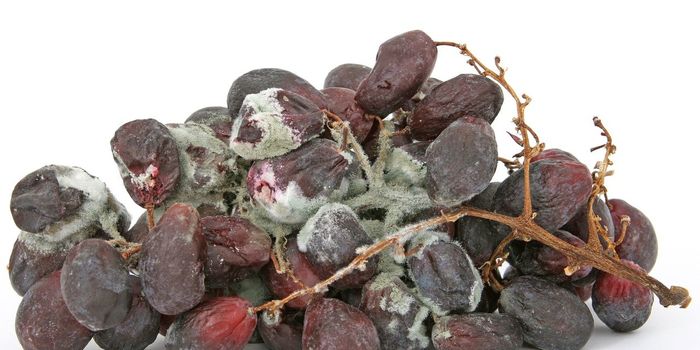 Is morality all about taste?