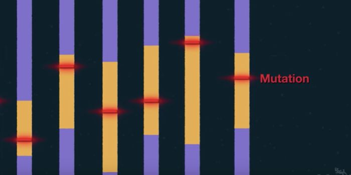 Identifying Disease-causing Gene Mutations