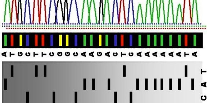 Genetic Link Found in Mysterious Developmental Disorder