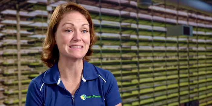 The Benefits of Vertical Farming