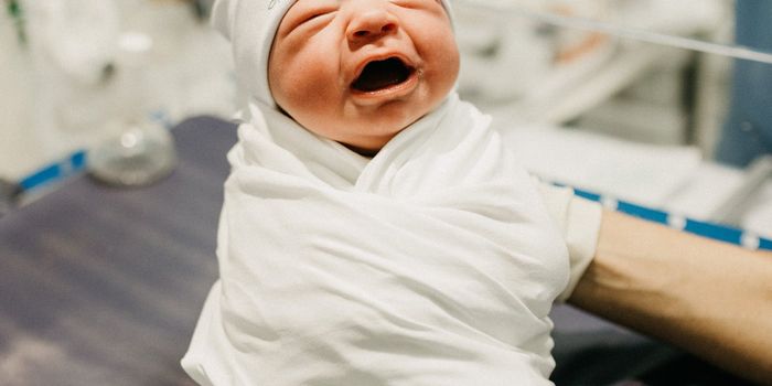 Software Flags Elevated Cerebral Palsy Risk in Premies