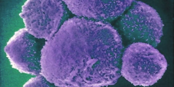 Nanoparticle Activates Natural Killer Cells to Replicate, Then Eat Cancer Cells