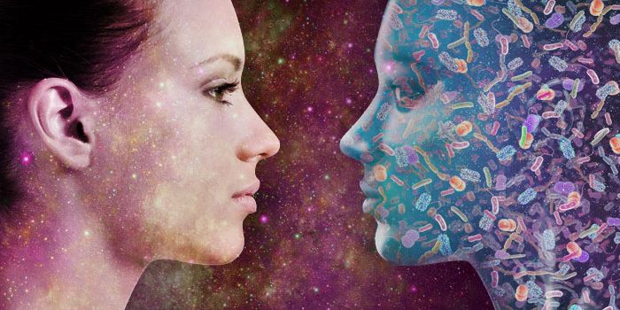 A breast microbiome?