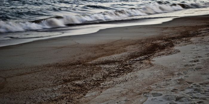 Oil Slick Washing Ashore in Southern California