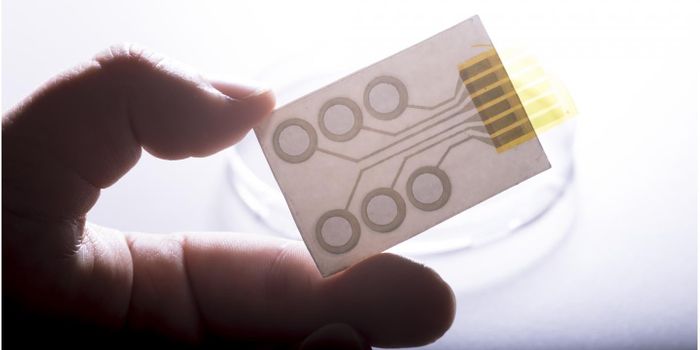 Printed Tattoo Electrodes Transmit Human Heart Impulses