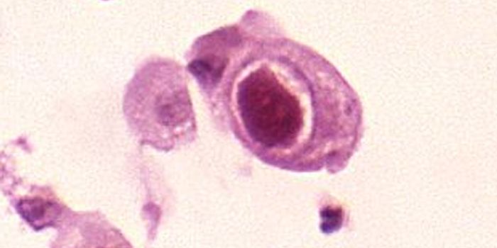 How Undetected Viral Infections Impact our Health