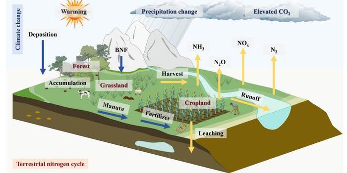 Climate Change Is Disrupting Earth's Nitrogen Cycle