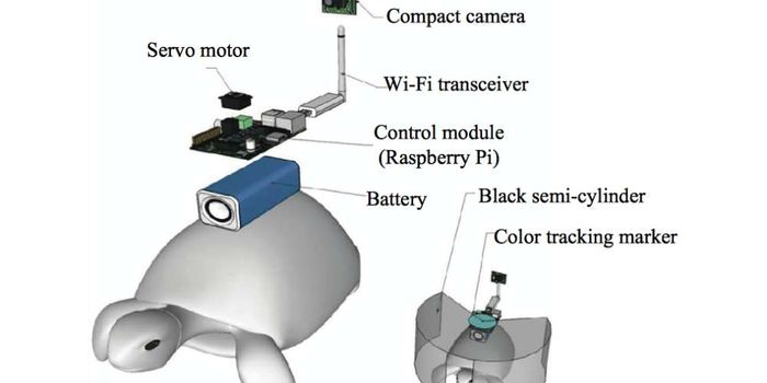 A Device That Lets Humans Control Turtles With Their Minds