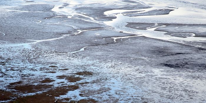 48,500-Year-Old Virus Recovered From Permafrost Can Still Infect Cells