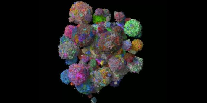 Cancer Models Help Scientists Make Predictions