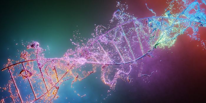 Many Stem Cell Lines Carry Serious Genetic Damage