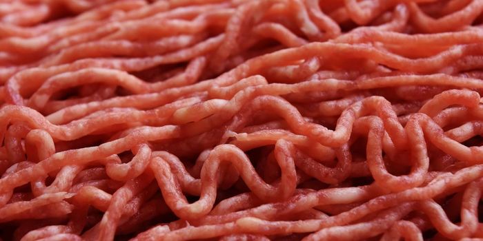 Hemp-Based Meat Contains More Protein than Beef