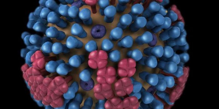 Boosting the Efficacy of Vaccines Against Type B Flu