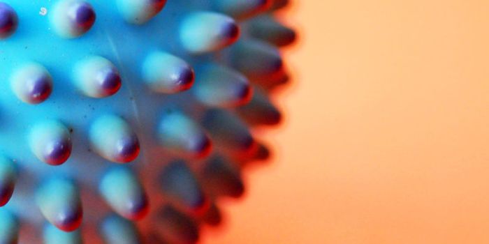 How a sneaky virus drives cancer cells to grow