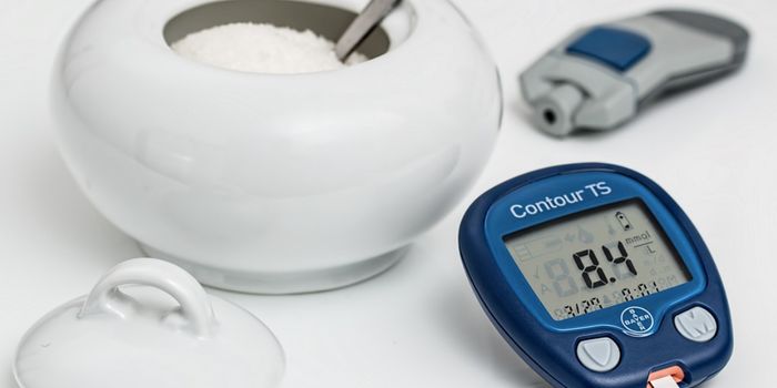 Study Suggests Bacteria Can Be a Diabetes Treatment