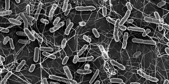 Reducing Antibiotic Use Still Critical, but Resistance Spreads Even Without the Drugs