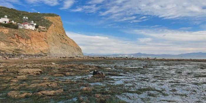 From Seagrass to Antibiotics: The Breakthrough Potential of Small Molecule In situ Resin Capture