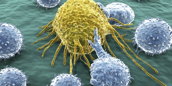 Scientists Created Killer Cells To Attack Cancer