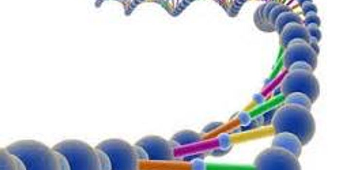 Gene Mutation May Cause Infertility