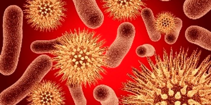 Ancient Dental Plaque Provides a Wealth of Information