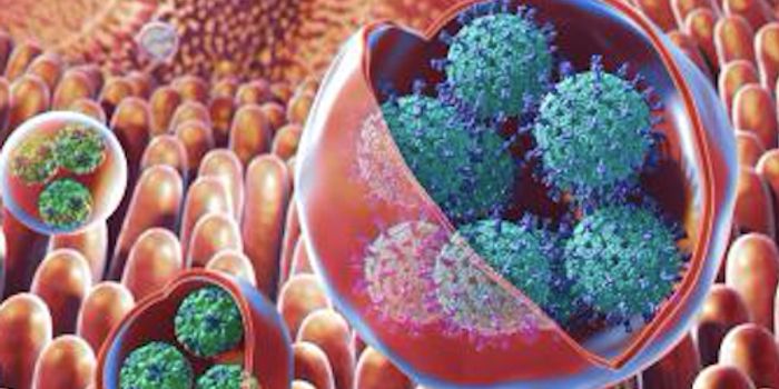 Why Some Viruses are so Infectious