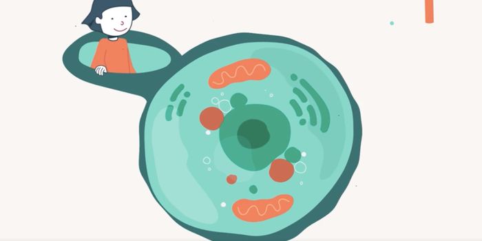 A Primer on Cell Therapy, Gene Therapy & Gene Editing