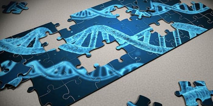 Scientists Make a Breakthrough in Mitochondrial Genome Editing